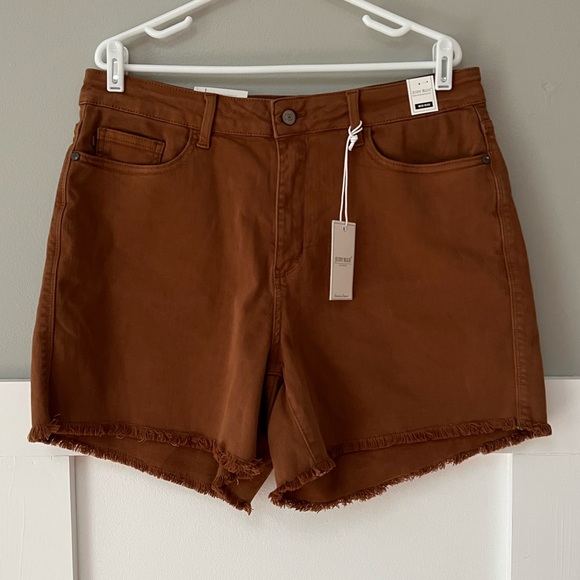 NWT Judy Blue Mid-Rise Cut Off Frayed Brown Shorts - Picture 3 of 10